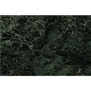 L164 Dark Green Lichen (image for) L164 Dark Green Lichen